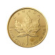 Gold Coins Gold Coins